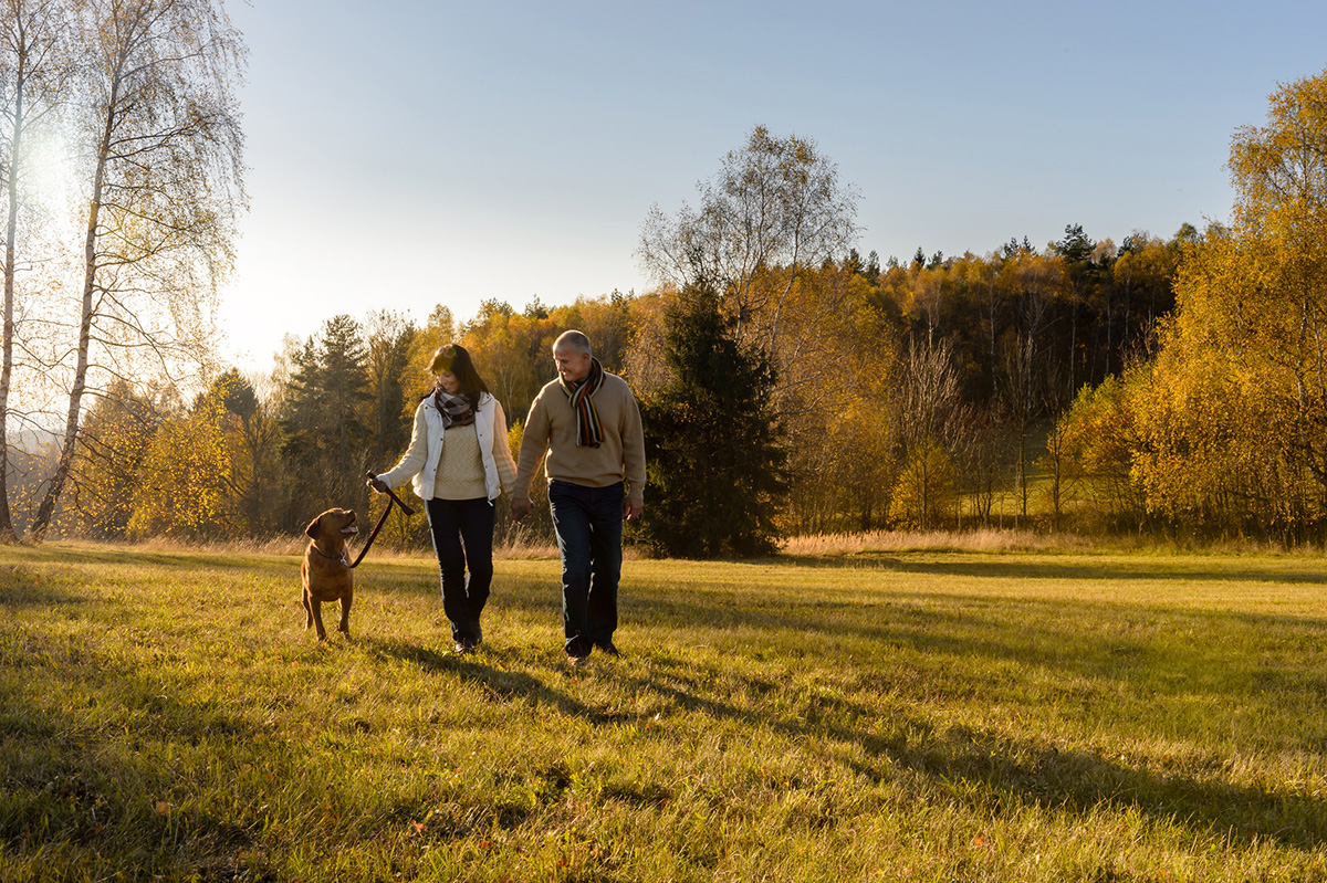 Mature couple walking retriever dog autumn sunset landscape holding hands